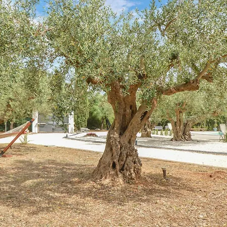 3 Bedroom Lovely In Holiday home *